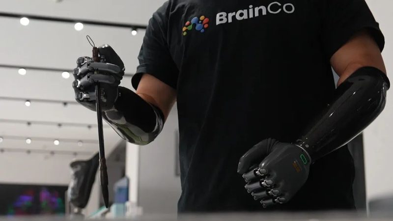 数字化转型背后的关键考量：案例对比分析**
